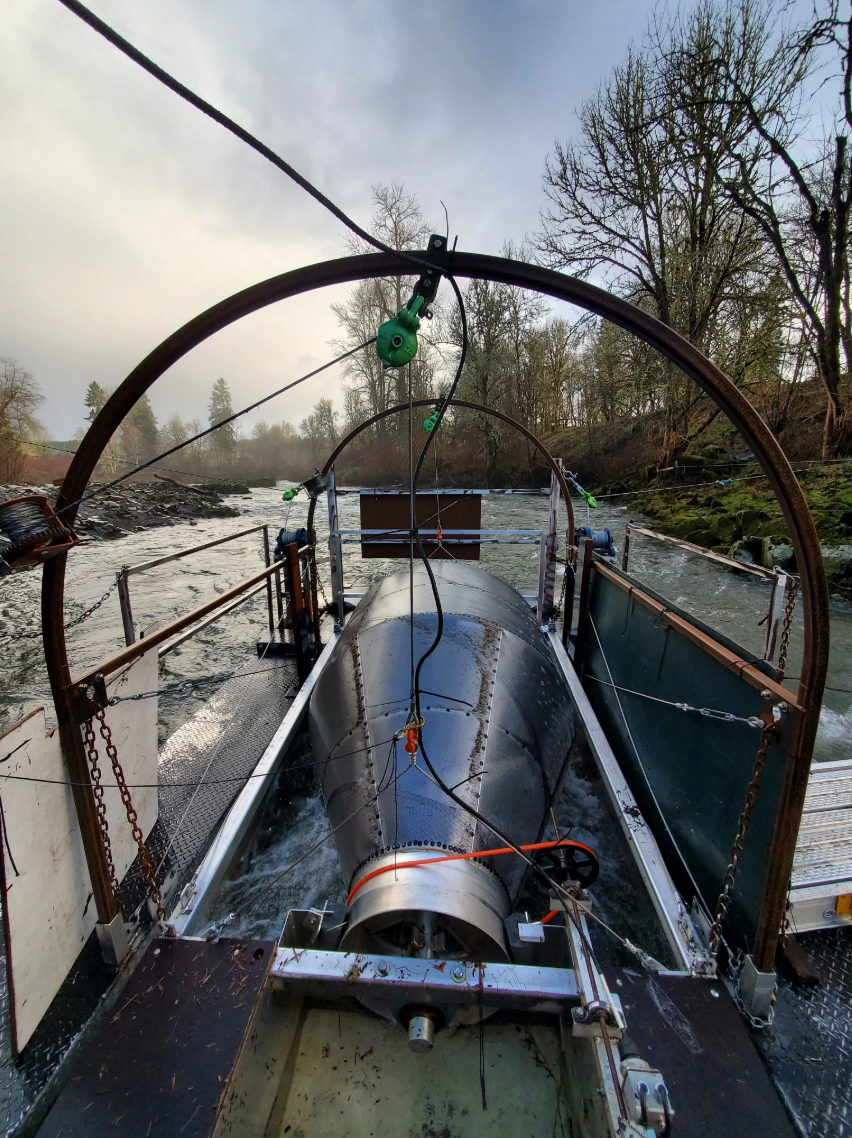 Metal rotary screw trap installed in a river, with a large cylindrical drum centered between metal walkways and safety rails. Cables, pulleys, and chains support the trap structure as water flows through it, with a forested riverbank and leafless trees visible in the background under an overcast sky.